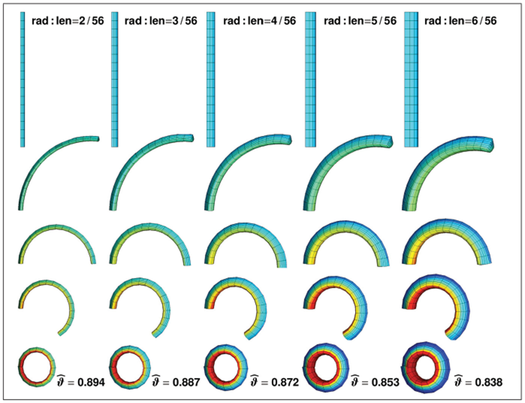 Figure 10.