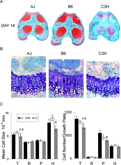 FIG. 6