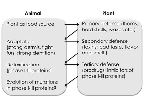 graphic file with name 13659_2013_4_Article_Fig1_HTML.jpg