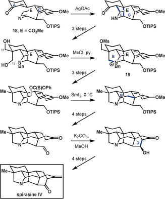 Scheme 7