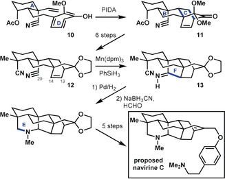 Scheme 4