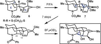 Scheme 2