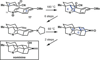 Scheme 6