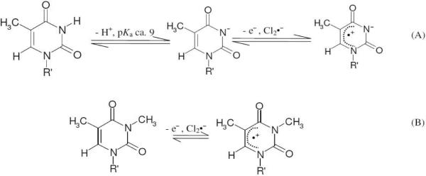 Scheme 3