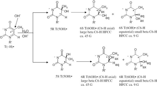 Scheme 4