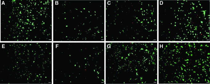 FIG. 10.