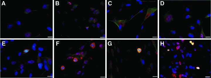 FIG. 6.