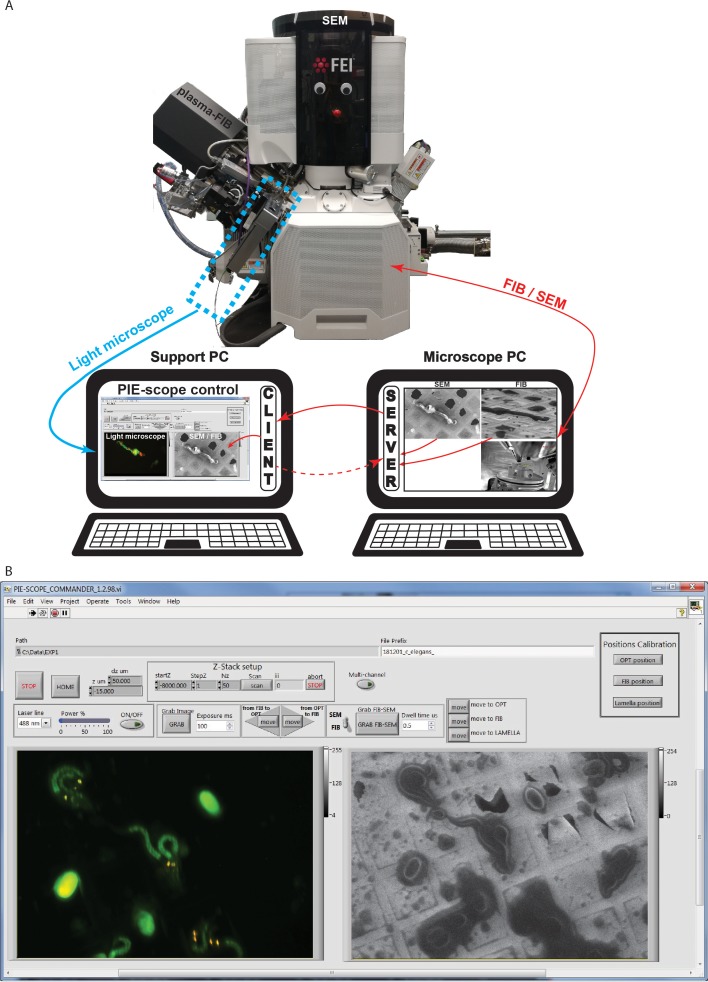 Figure 4.