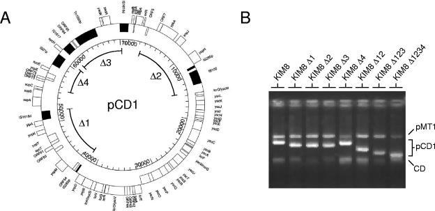 FIG. 1.