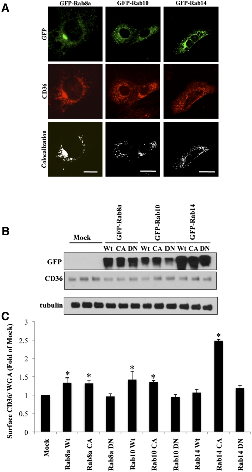 Fig. 3.