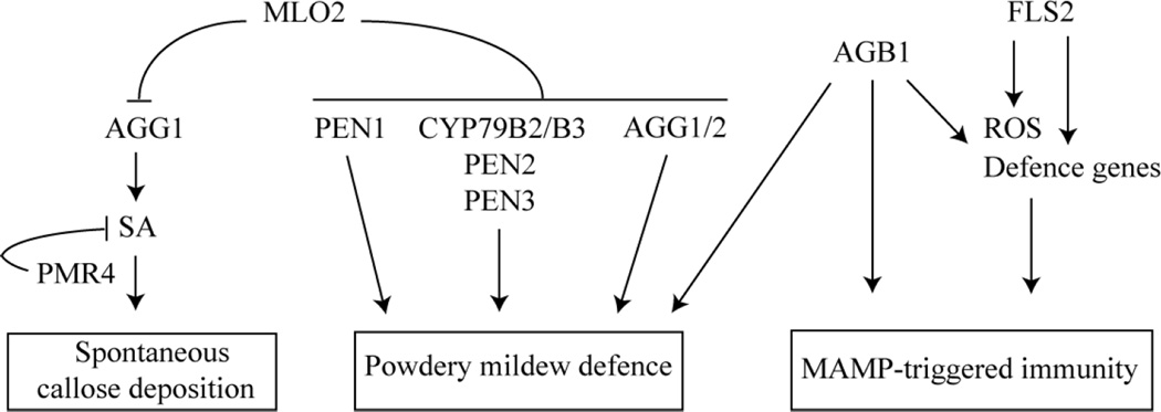 Figure 7