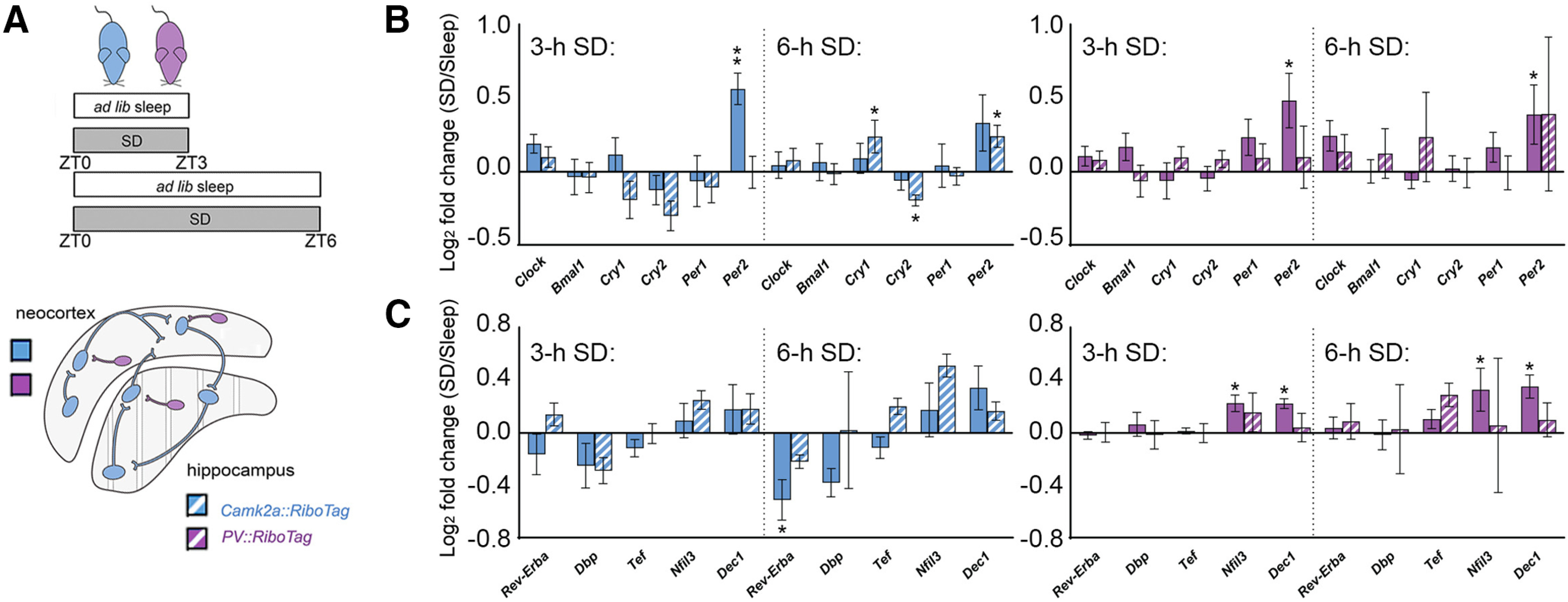 Figure 6.