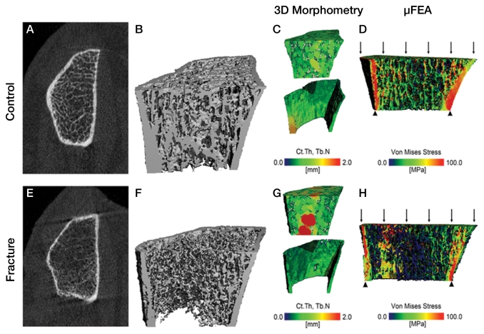 Figure 3: