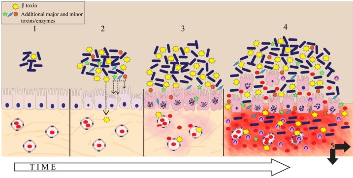 Figure 6