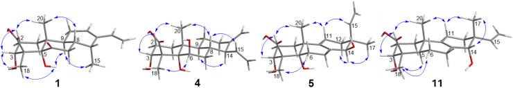 Fig. 3