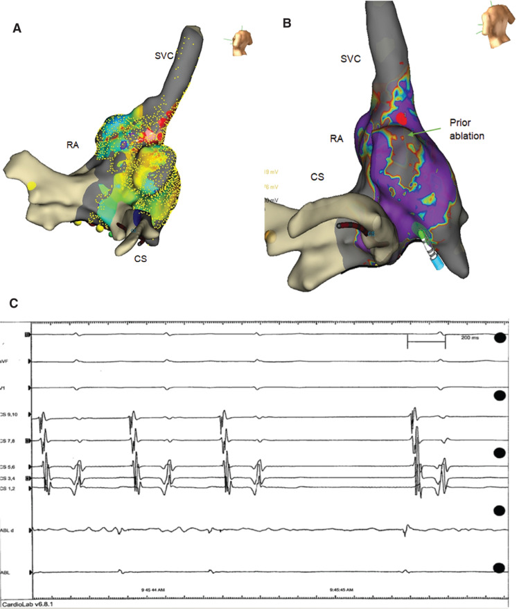 Figure 3: