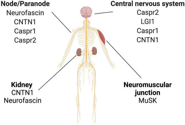 Figure 6