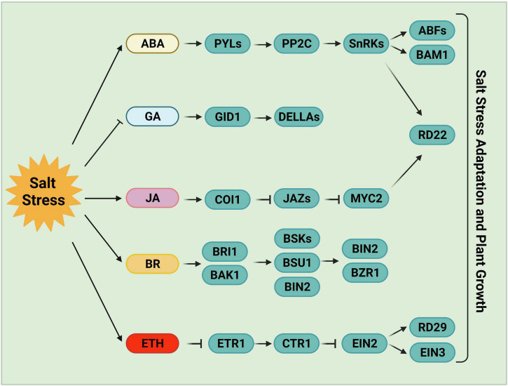 FIGURE 2