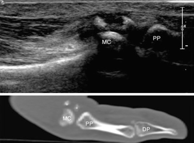 Fig. 3