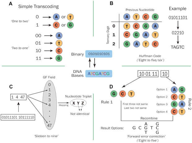 Figure 1: