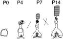 Fig. 9.