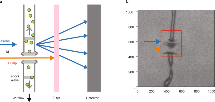 Fig. 1