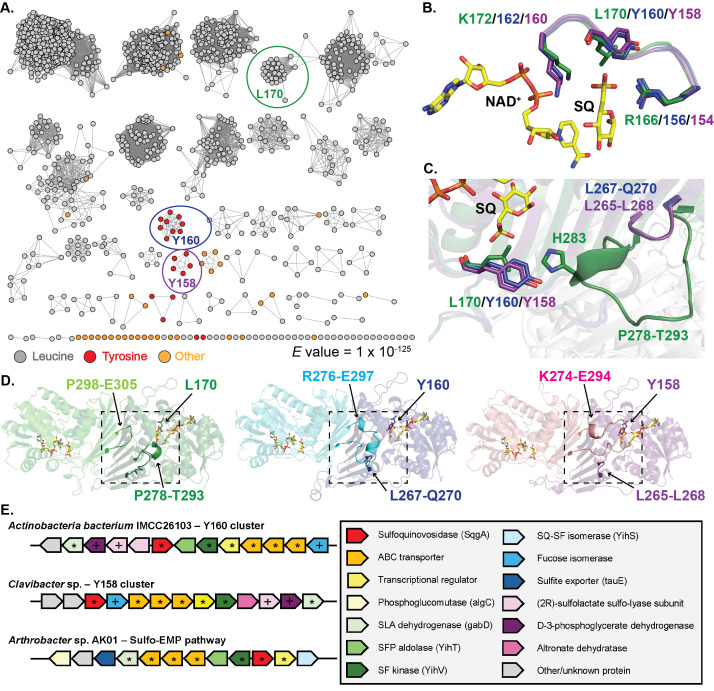 Figure 1. GH188 analysis