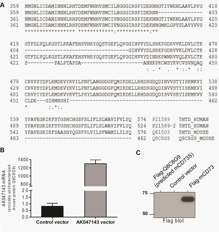 FIGURE 4: