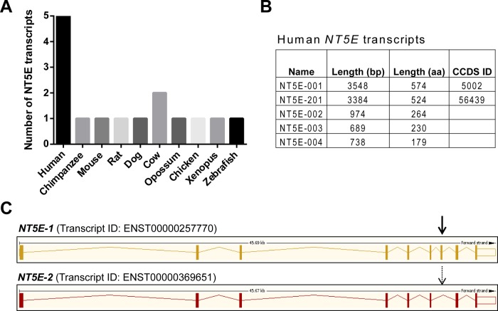 FIGURE 1: