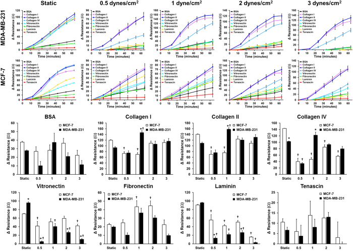 High Throughput Label Free Measurement of Cancer Cell Adhesion Kinetics ...