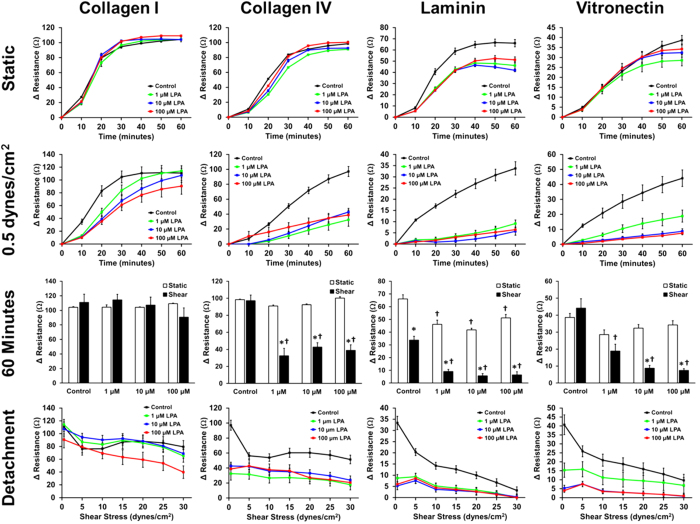 High Throughput Label Free Measurement of Cancer Cell Adhesion Kinetics ...