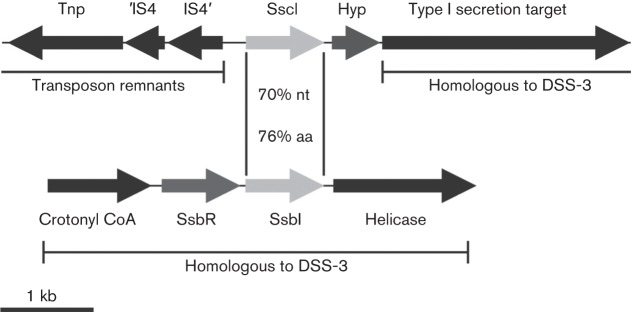 Fig. 1. 