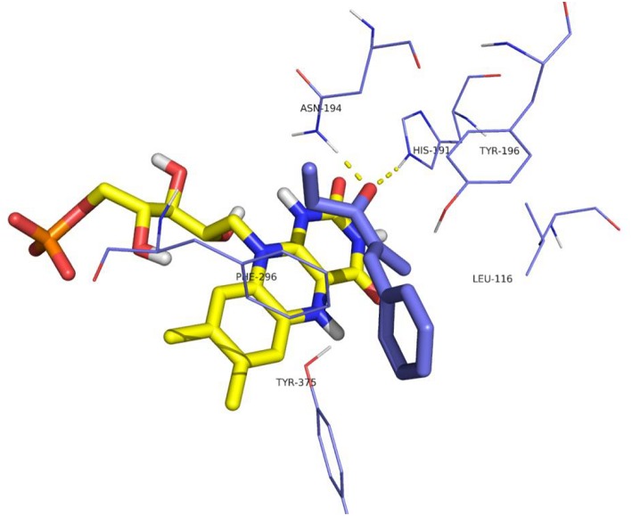 Figure 7