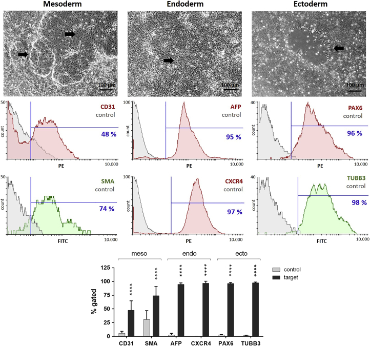 Figure 3