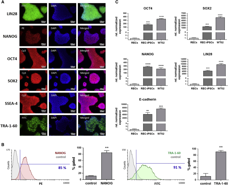 Figure 2