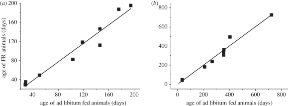 Figure 5.