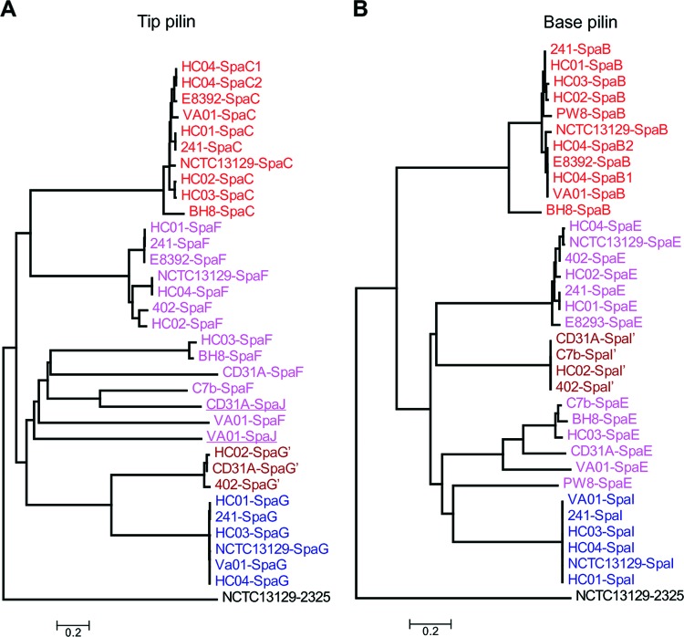 Fig 11