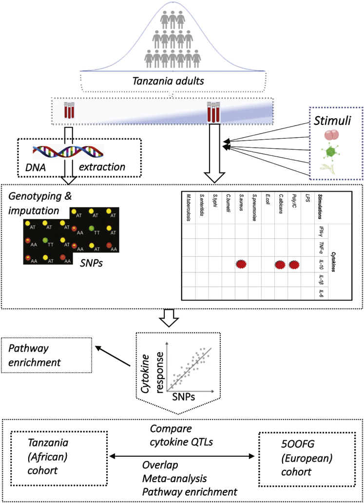 Figure 1