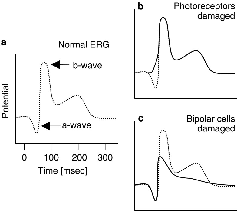 Fig. 2