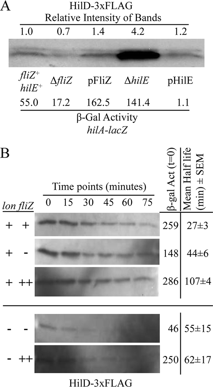 FIG. 6.