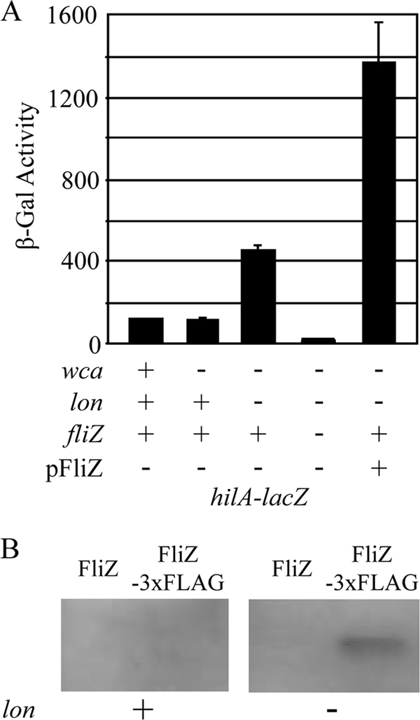 FIG. 7.