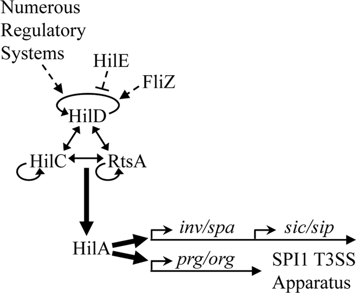 FIG. 1.