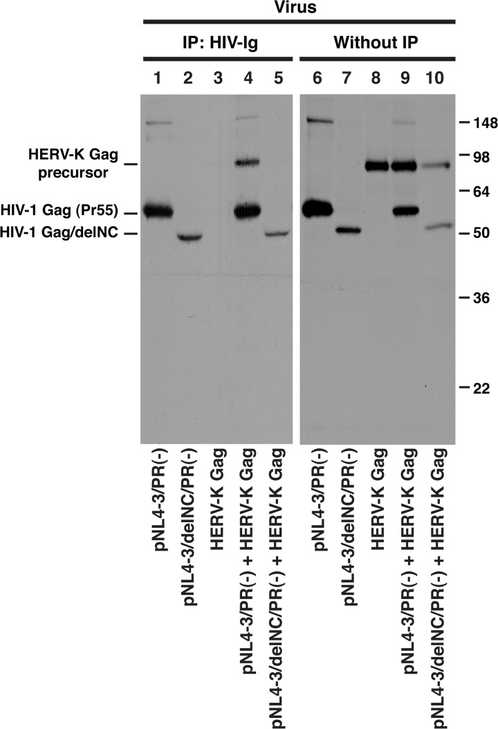 Fig 5