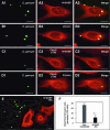 FIG. 4.