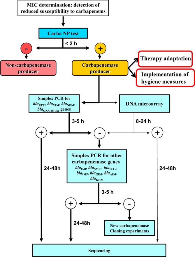 FIG 2