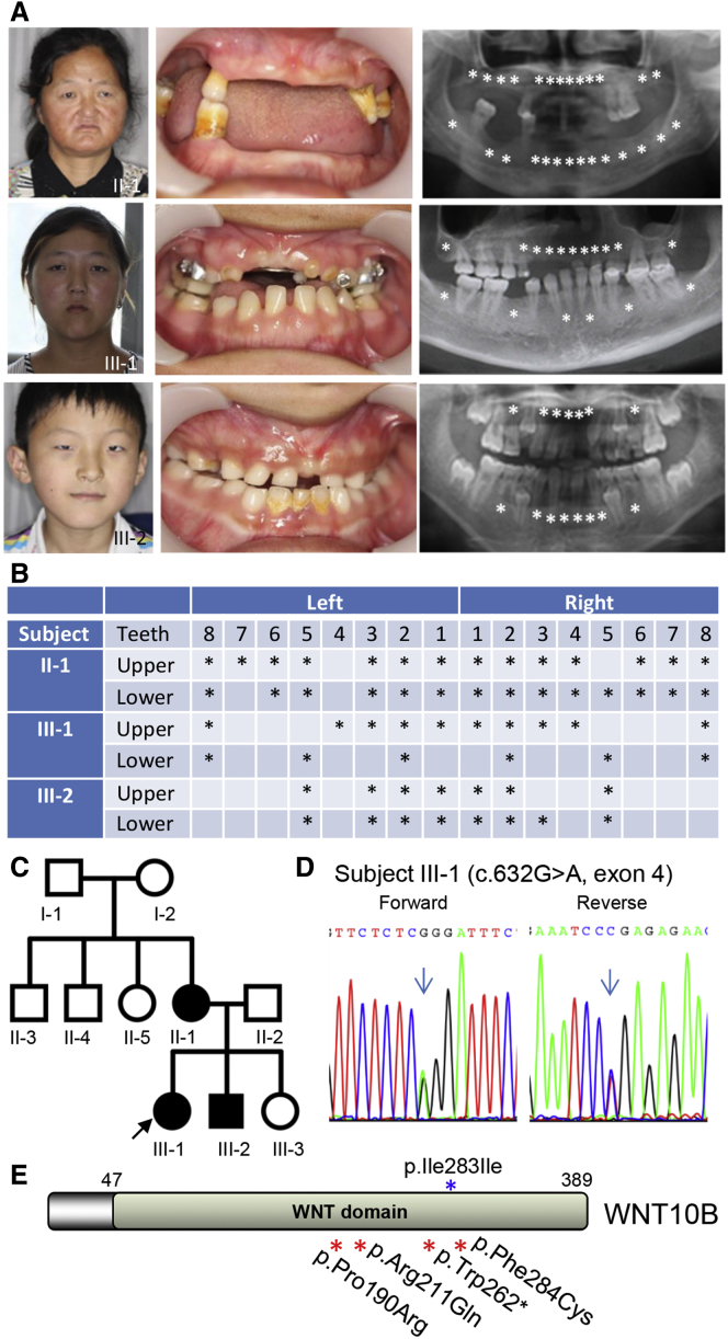 Figure 1