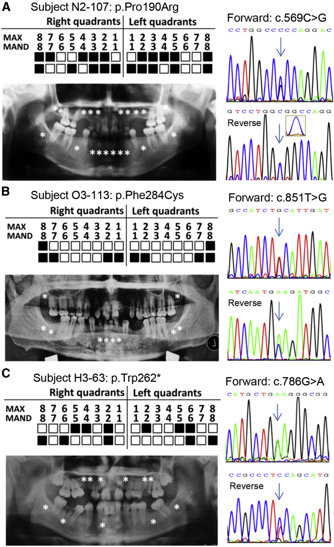 Figure 2