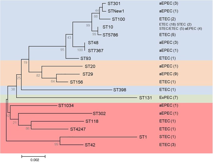 FIGURE 1