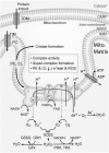 FIG. 2.
