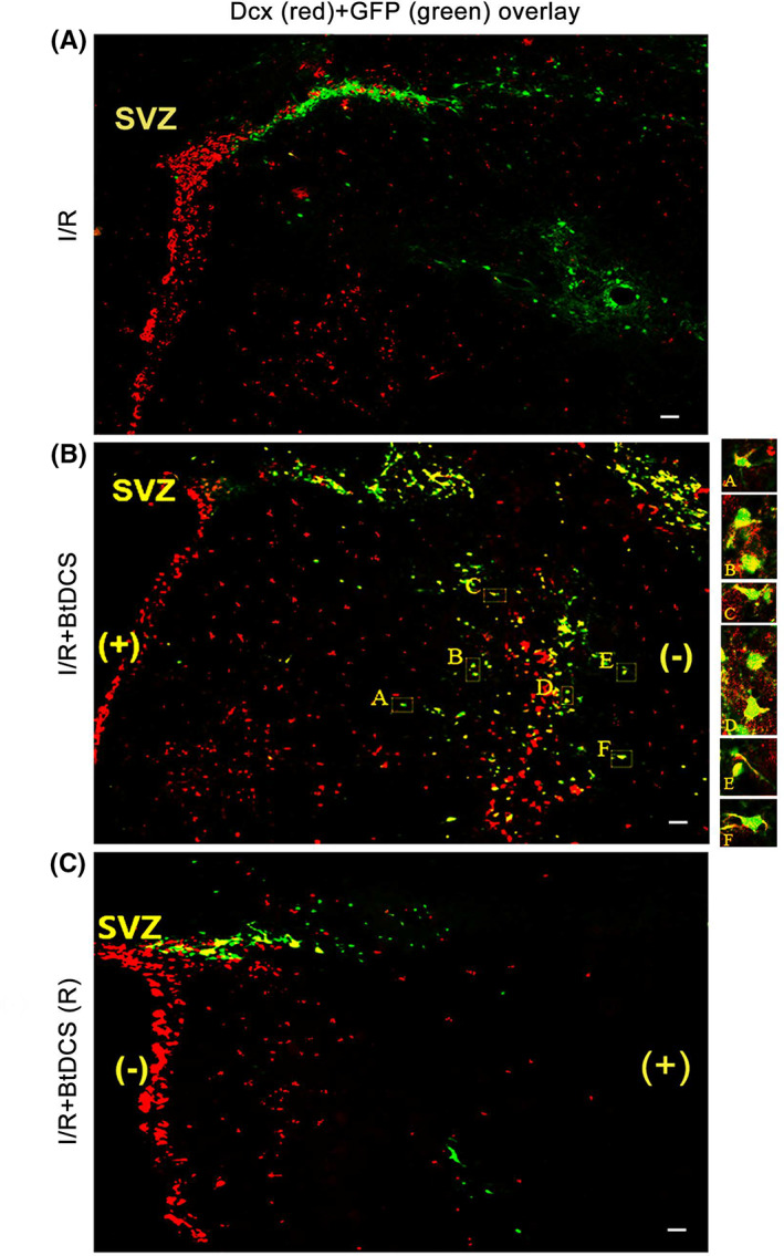 FIGURE 4